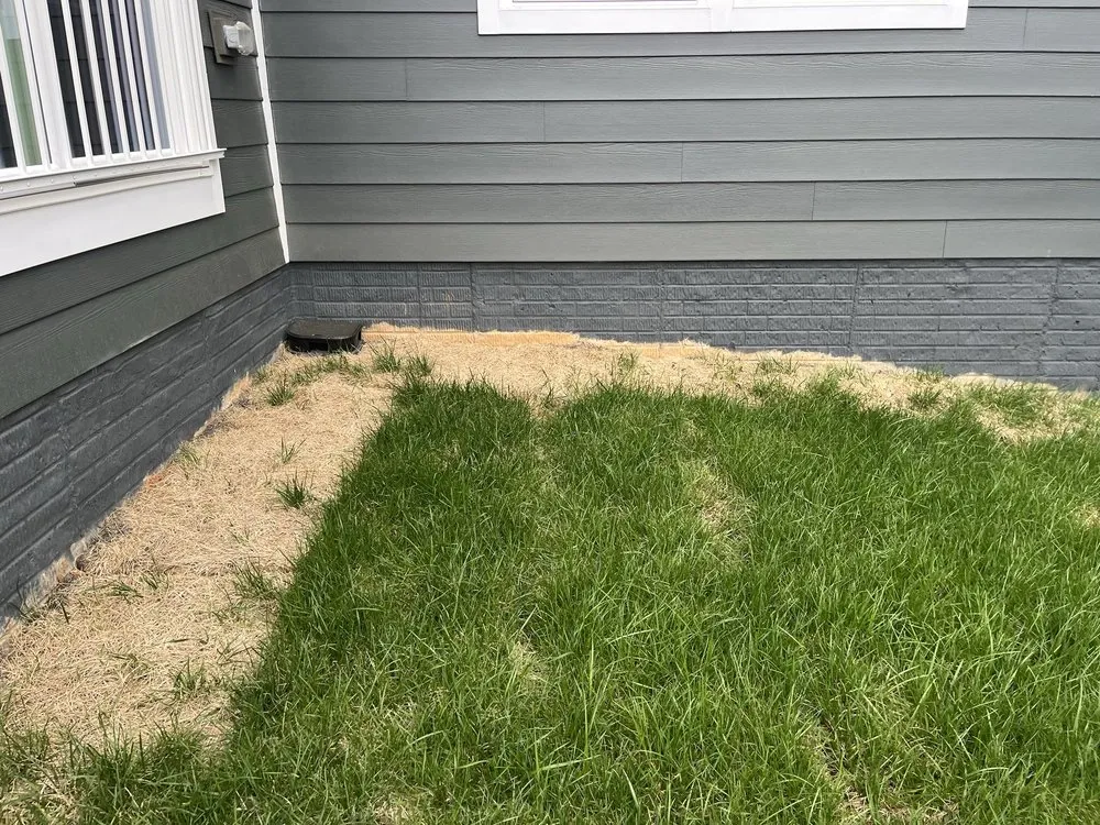 Reliable landscape design experts serving Fort Worth, TX - Wood's Landscape & Sprinkler Services