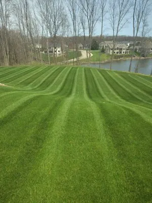 Woods Landscape Maintenance