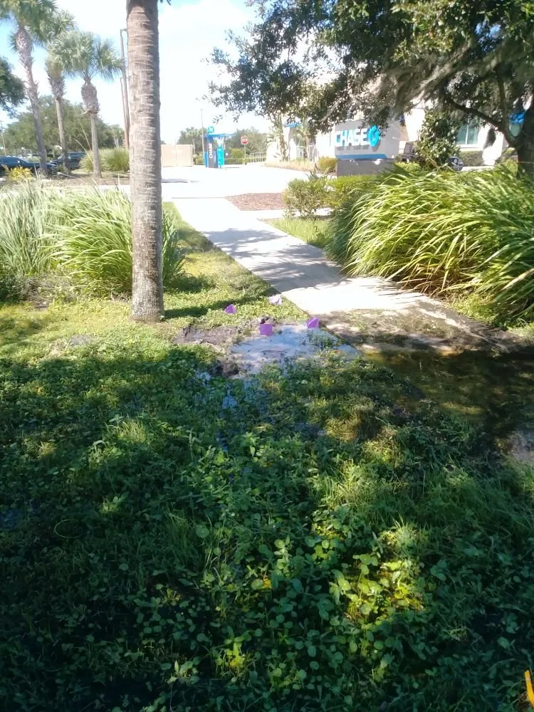 Custom yard cleanup service with custom design in Plant City, FL by Woods Landscaping & Irrigation