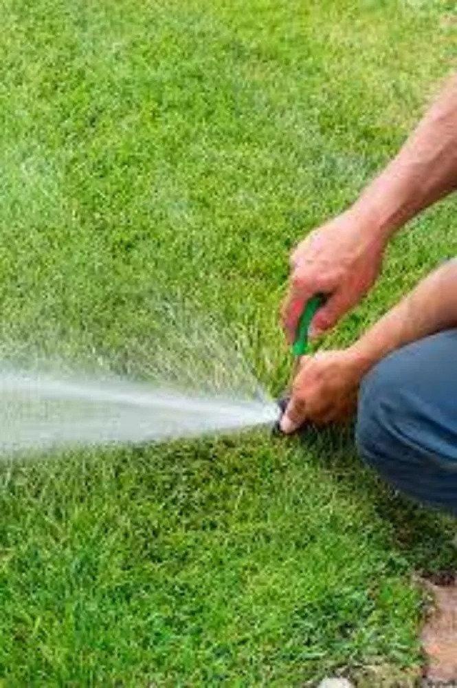 Custom landscape design in Plant City, FL by Woods Landscaping & Irrigation