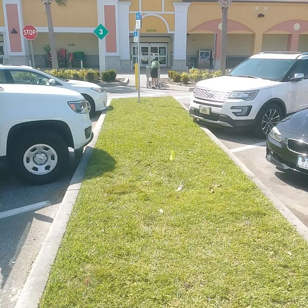 Reliable lawn mowing service for residential properties across Plant City, FL - Woods Landscaping & Irrigation