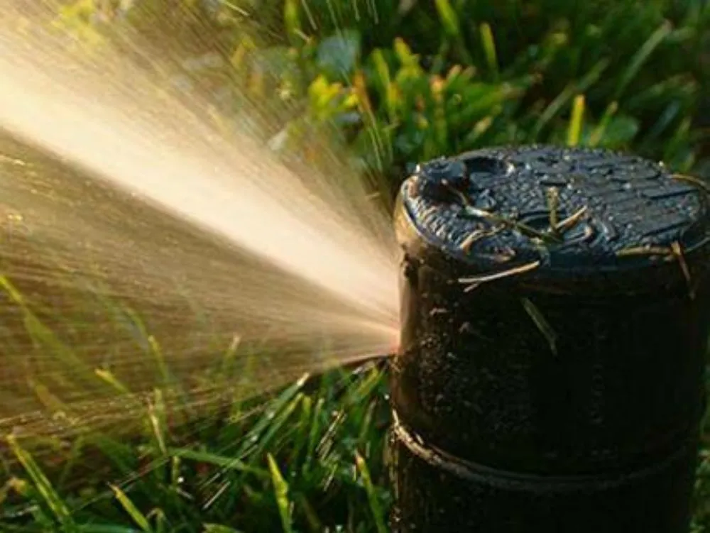 Expert outdoor landscaping experts serving Plant City, FL - Woods Landscaping & Irrigation