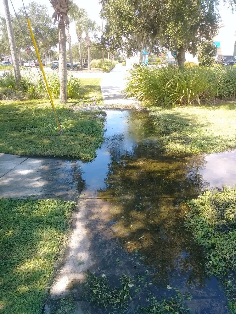 Custom yard cleanup service for residential properties across Plant City, FL - Woods Landscaping & Irrigation