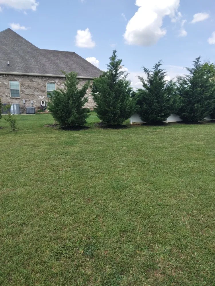 Reliable residential landscaping in Shelbyville, TN - Woods Landscaping and Lawncare