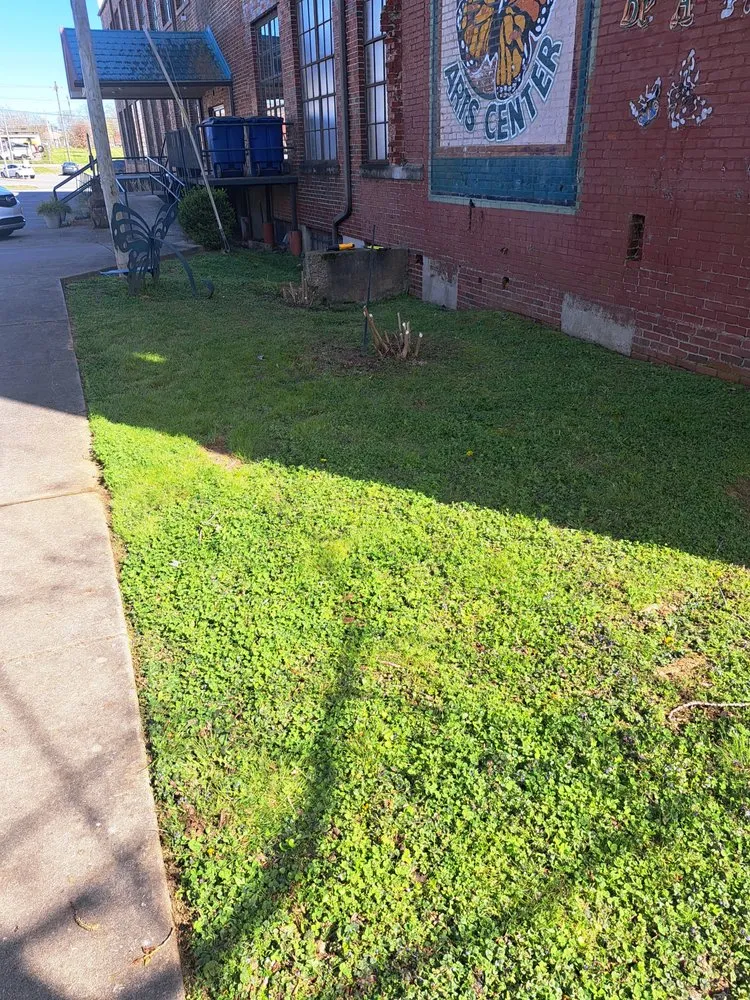 Professional landscaping services experts serving Shelbyville, TN - Woods Landscaping and Lawncare