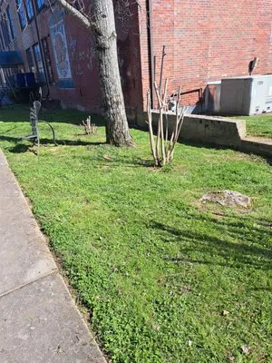 Woods Landscaping and Lawncare Logo