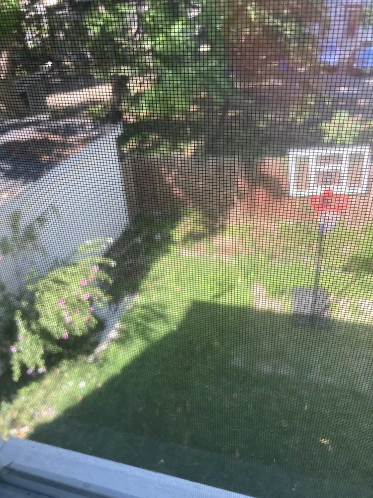 Custom garden landscaping for outdoor upgrades across Newark, NJ - Woods landscaping