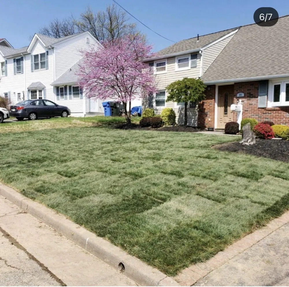 Trusted yard cleanup service for residential properties across Newark, NJ - Woods landscaping