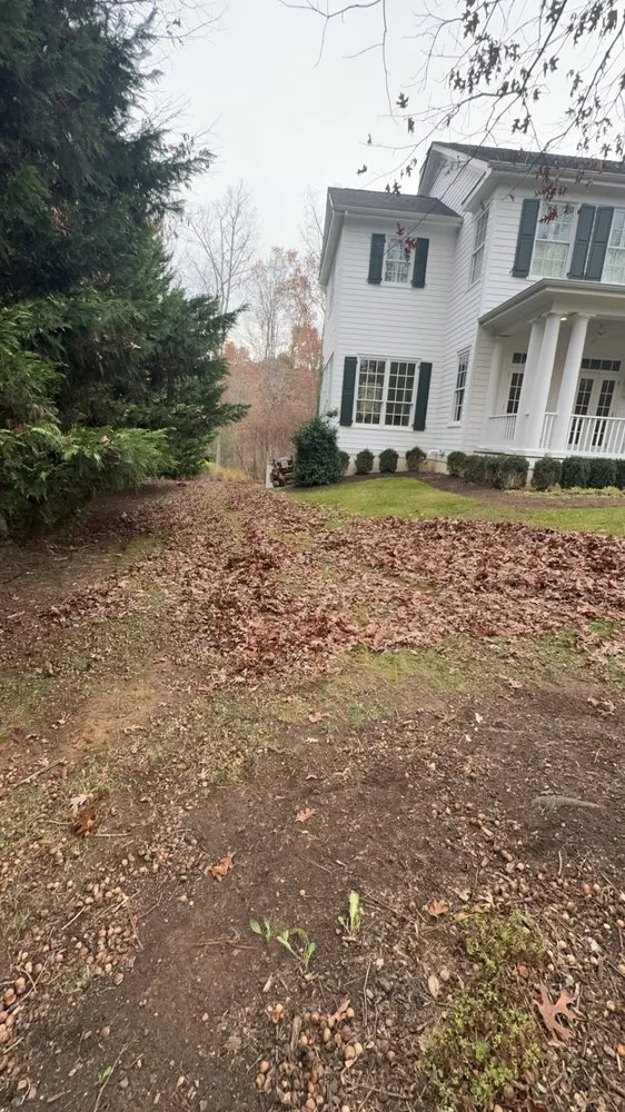 Trusted residential landscaping in Charlottesville, VA - Wood’s landscaping services