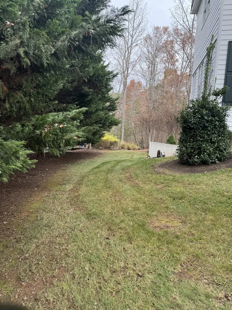 Affordable garden landscaping for residential properties in Charlottesville, VA by Wood’s landscaping services