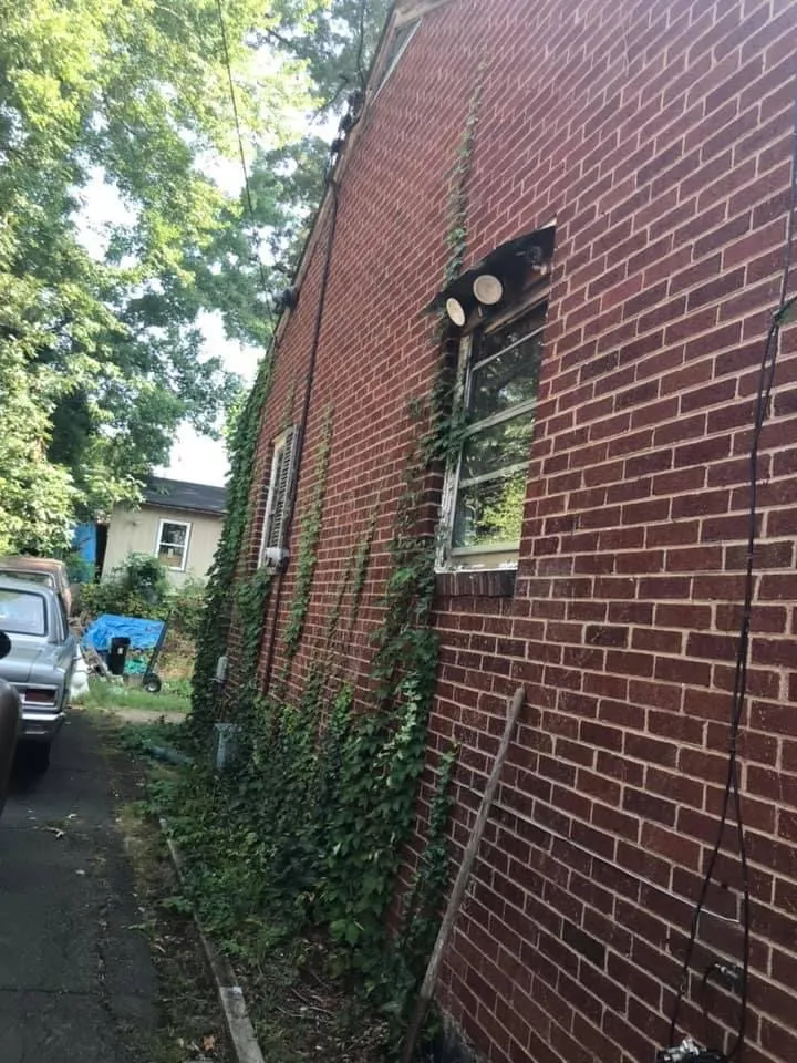 Professional garden landscaping for outdoor upgrades in Charlottesville, VA by Wood’s landscaping services