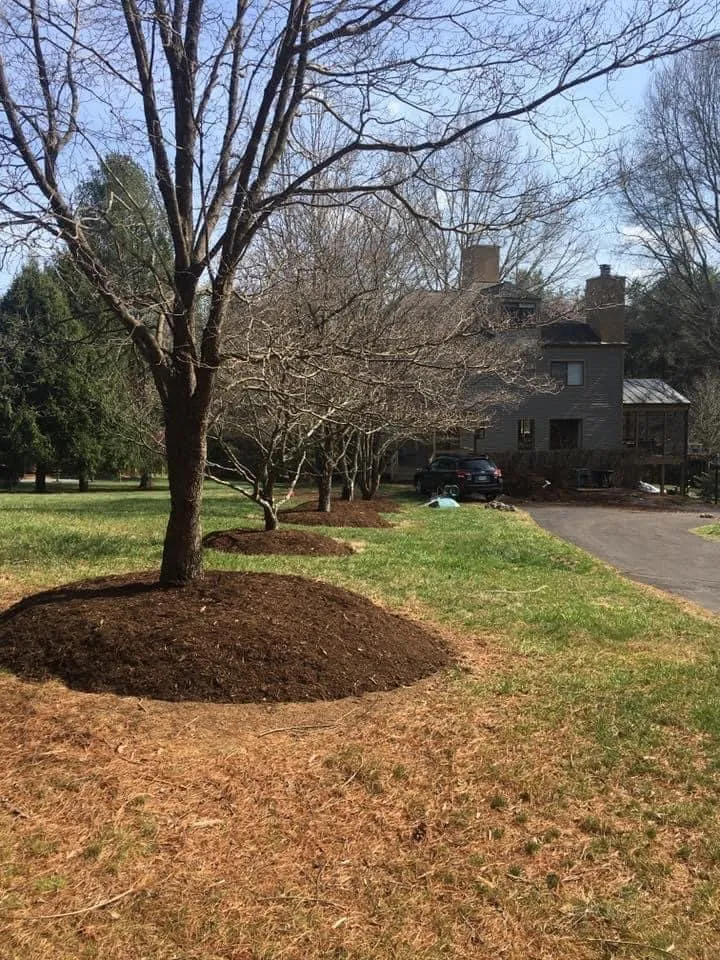 Expert yard maintenance in Charlottesville, VA - Wood’s landscaping services
