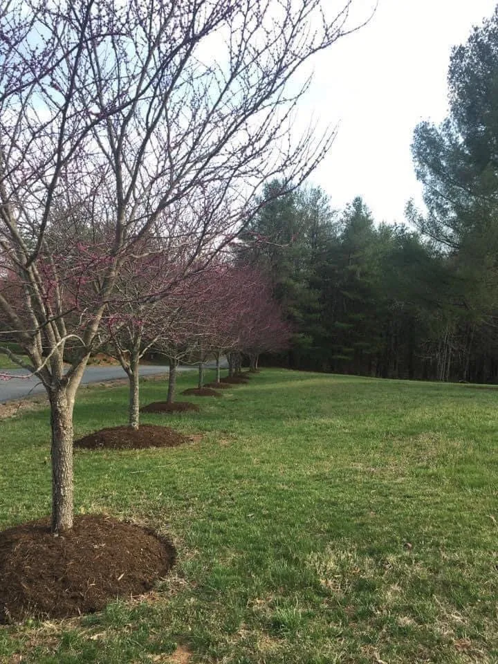 Local garden landscaping in Charlottesville, VA - Wood’s landscaping services