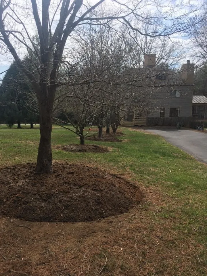 Reliable outdoor landscaping with custom design in Charlottesville, VA by Wood’s landscaping services