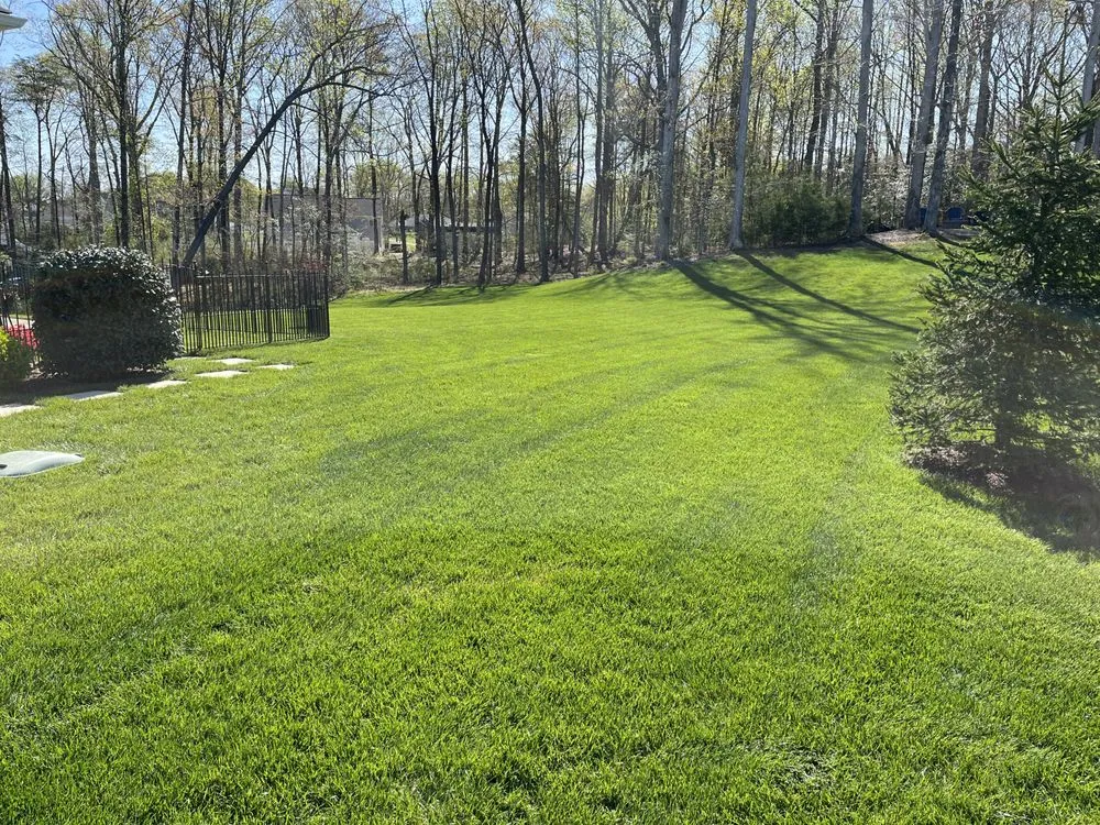 Affordable landscape installation experts serving Prince Frederick, MD - Woods Lawn Care And Firewood