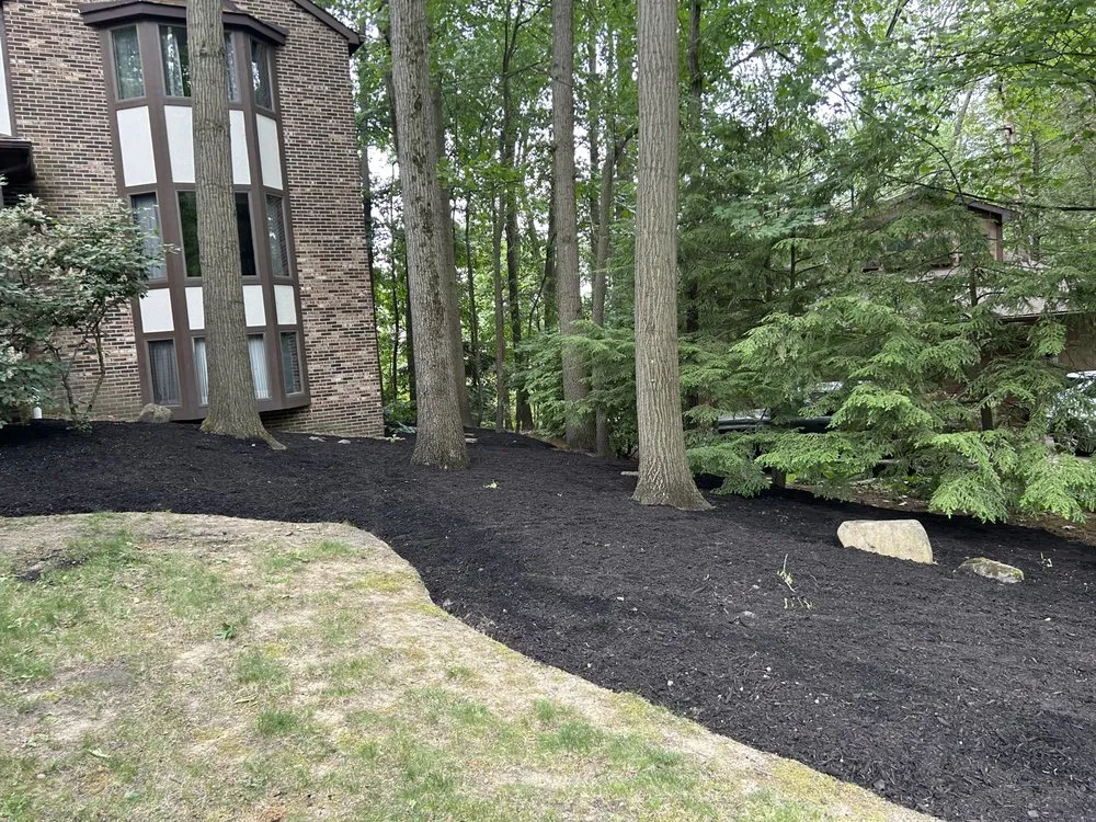 Expert lawn mowing service in Canton, OH - Woods Lawn Care