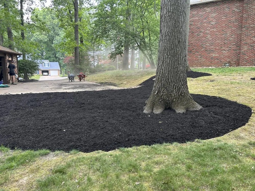 Trusted lawn mowing service experts serving Canton, OH - Woods Lawn Care