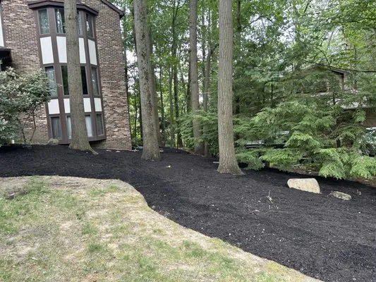 Woods Lawn Care Logo