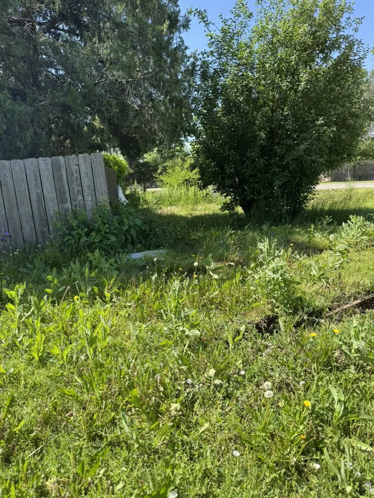 Top-rated lawn mowing service in Wichita, KS by Woods Lawn Care