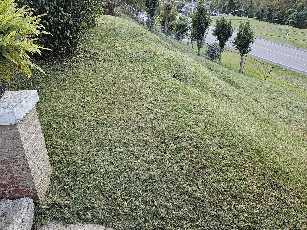 Reliable yard maintenance in Vansant, VA by Woods Lawn Services