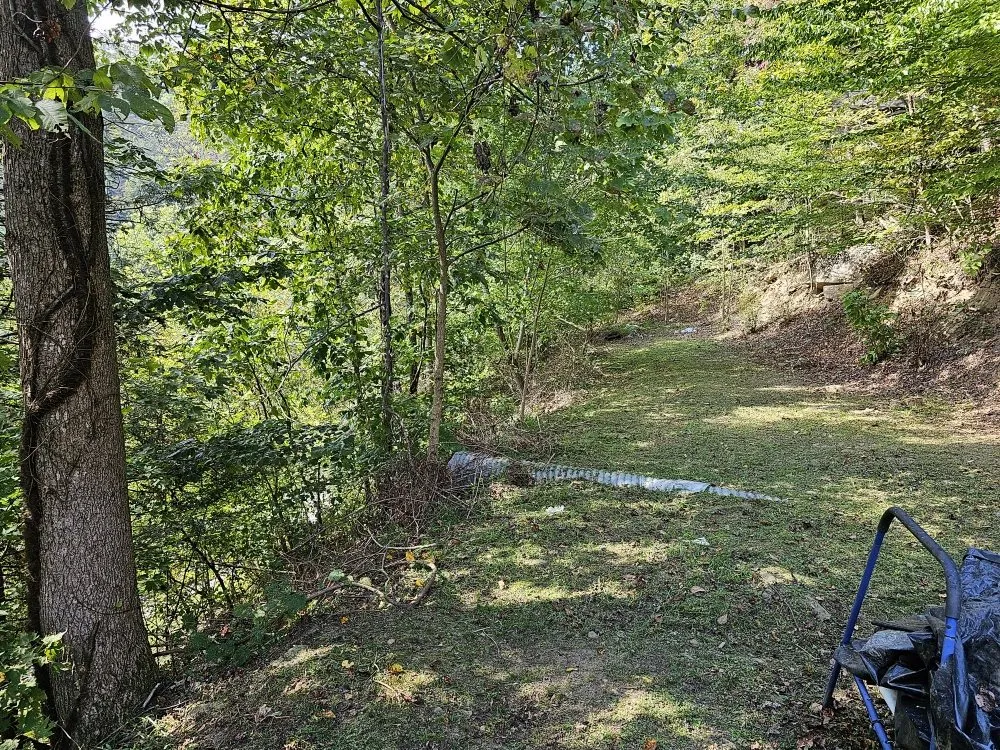 Expert lawn mowing service in Vansant, VA by Woods Lawn Services