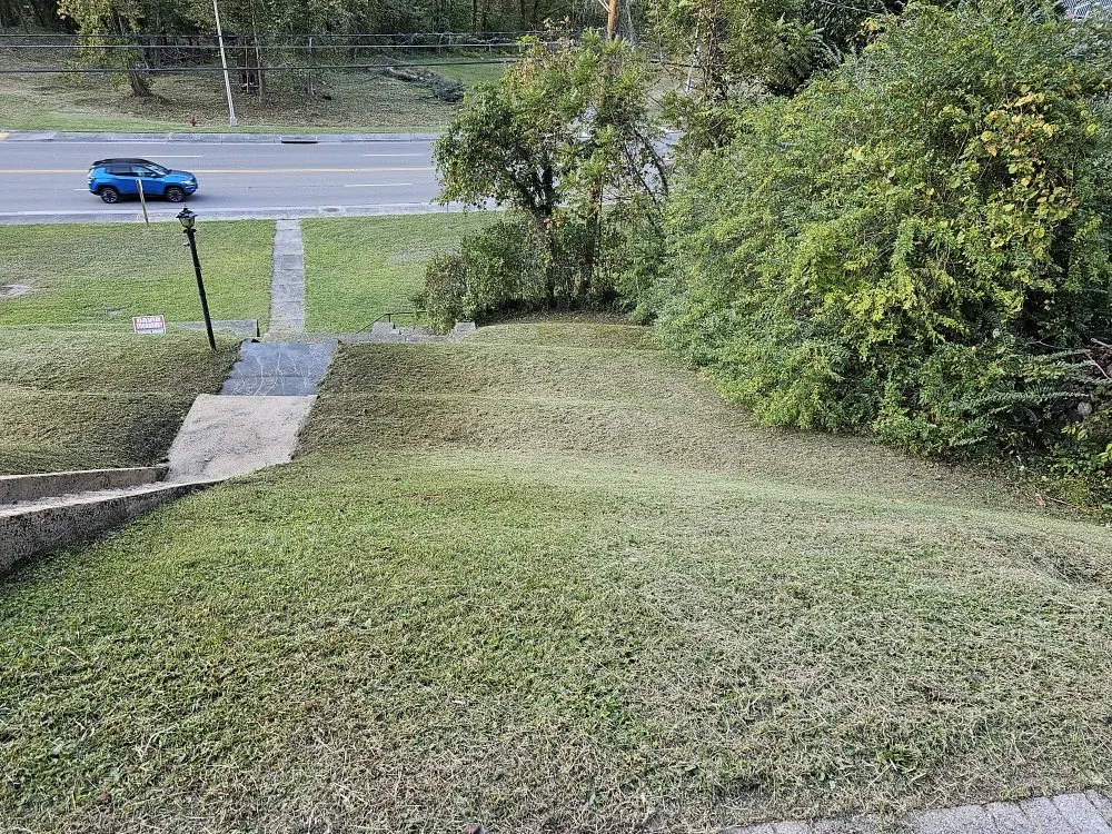 Professional outdoor landscaping for homes across Vansant, VA - Woods Lawn Services