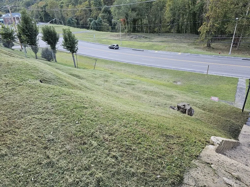 Trusted landscaping services for residential properties in Vansant, VA by Woods Lawn Services