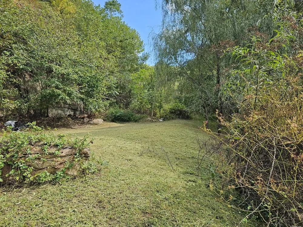 Expert lawn care service for homes in Vansant, VA by Woods Lawn Services