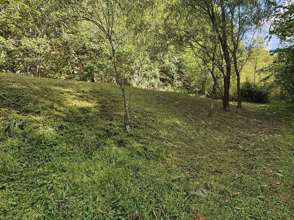 Professional yard cleanup service in Vansant, VA - Woods Lawn Services