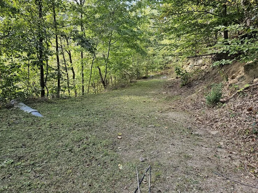 Affordable lawn care service experts serving Vansant, VA - Woods Lawn Services