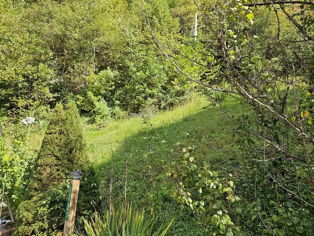 Custom garden landscaping for homes in Vansant, VA by Woods Lawn Services