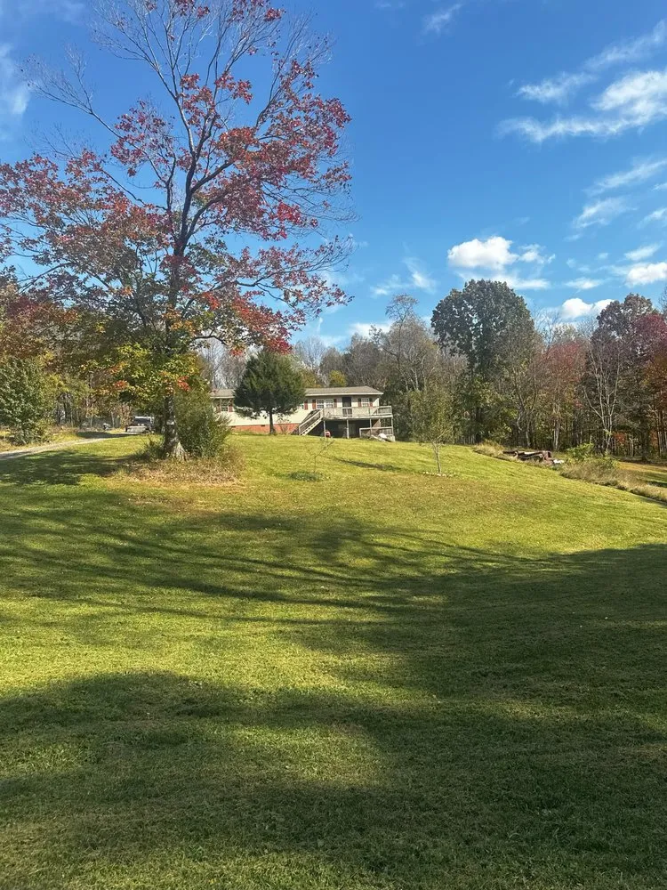 Trusted yard maintenance in Madison Heights, VA by Woods Lawncare & Services