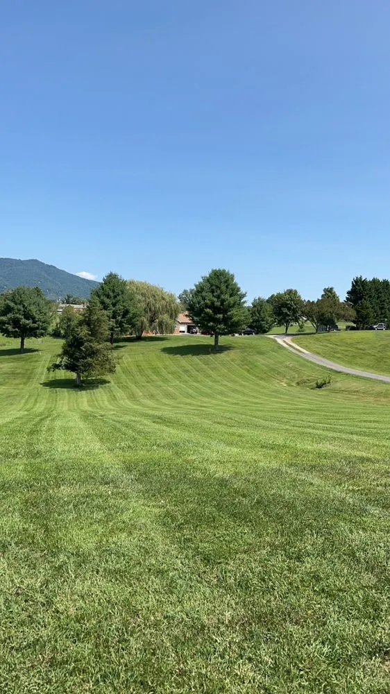 Custom yard cleanup service in Madison Heights, VA by Woods Lawncare & Services