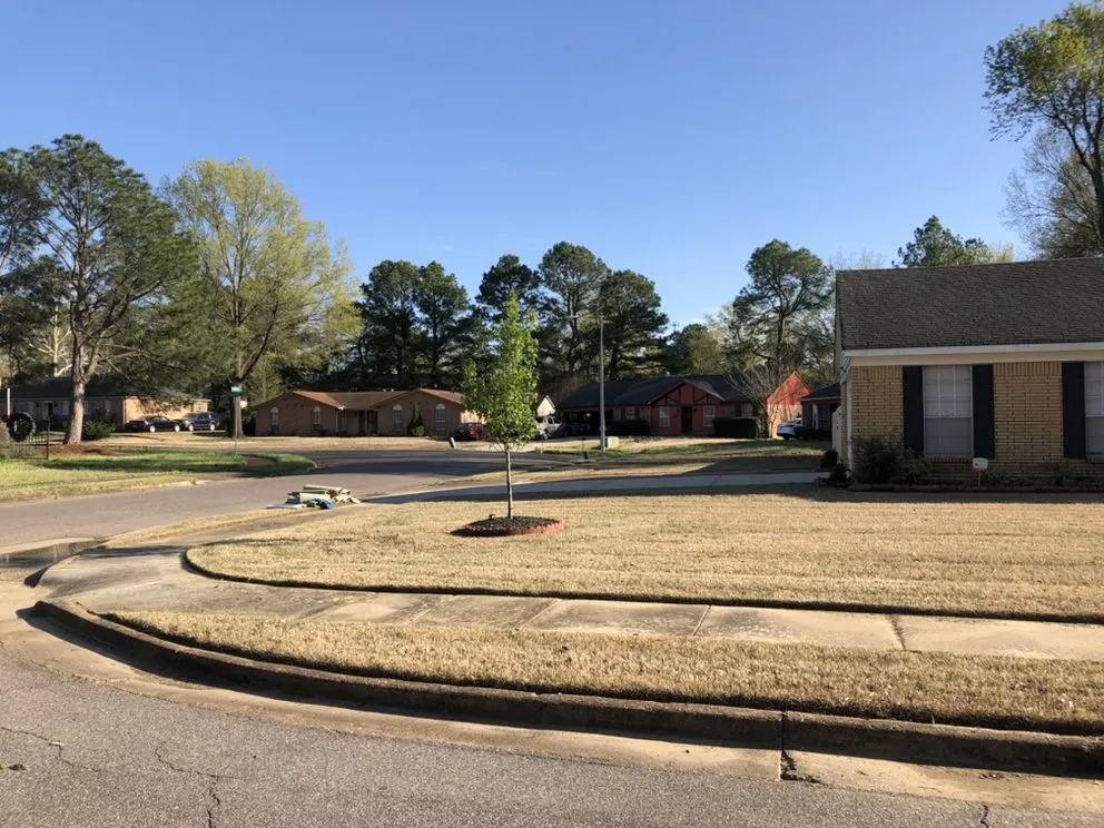 Professional lawn mowing service in Memphis, TN by Woods Lawncare