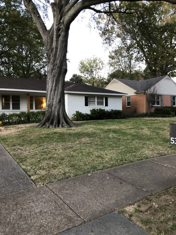 Expert landscape installation for beautiful yards in Memphis, TN by Woods Lawncare