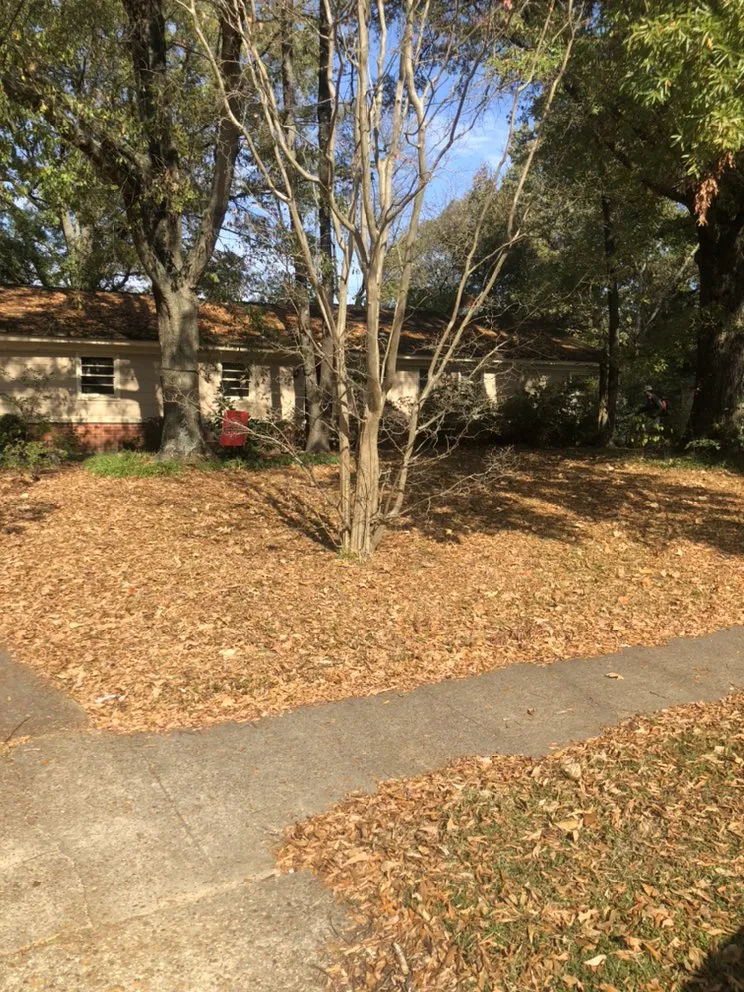 Custom garden landscaping with custom design in Memphis, TN by Woods Lawncare