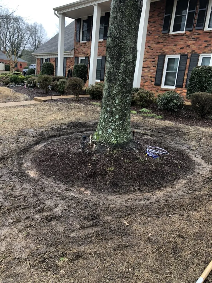 Local yard cleanup service in Memphis, TN by Woods Lawncare