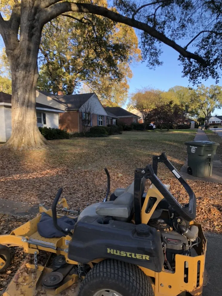 Expert landscape installation in Memphis, TN - Woods Lawncare