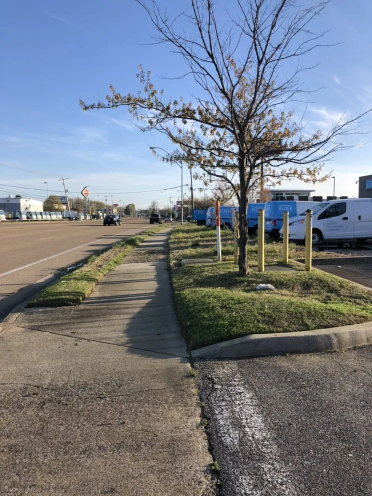 Local landscape installation experts serving Memphis, TN - Woods Lawncare