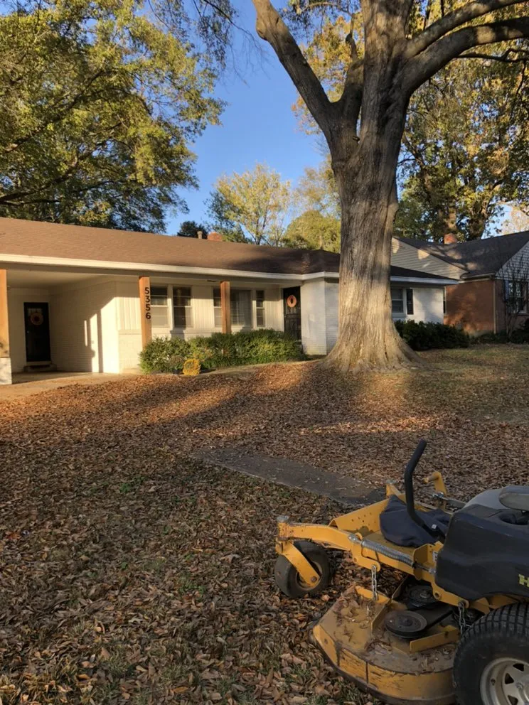 Reliable lawn mowing service near you across Memphis, TN - Woods Lawncare