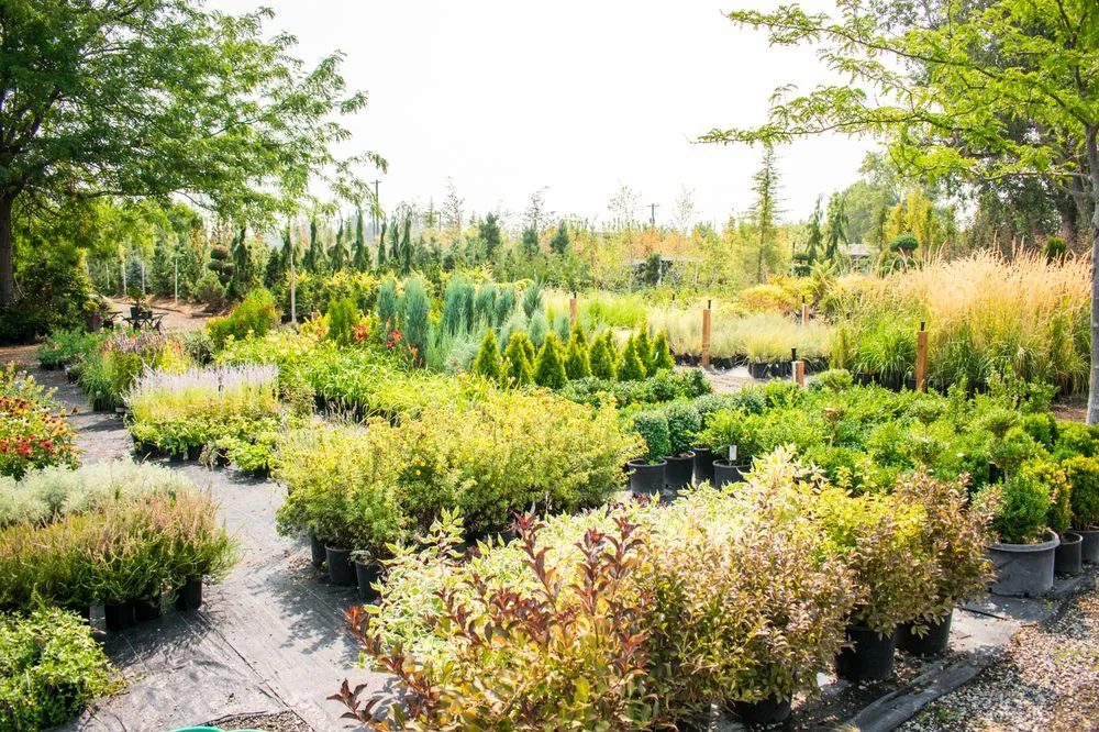 Local landscape installation experts serving Richland, WA - Wood's Nursery and Garden Store
