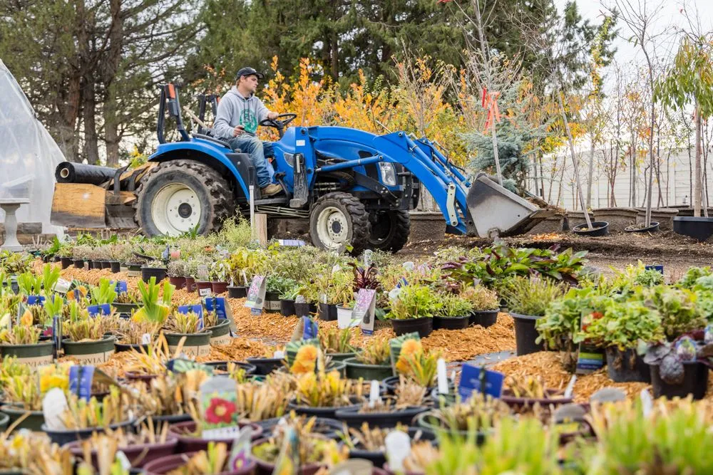 Affordable yard maintenance experts serving Richland, WA - Wood's Nursery and Garden Store