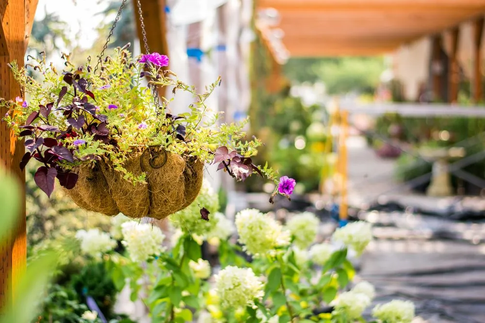 Local yard cleanup service in Richland, WA by Wood's Nursery and Garden Store