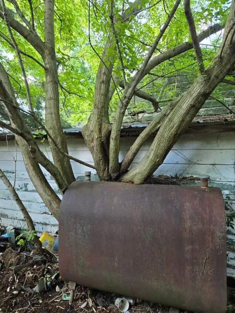 Local yard cleanup service in London, OH by Woods Odd Jobs