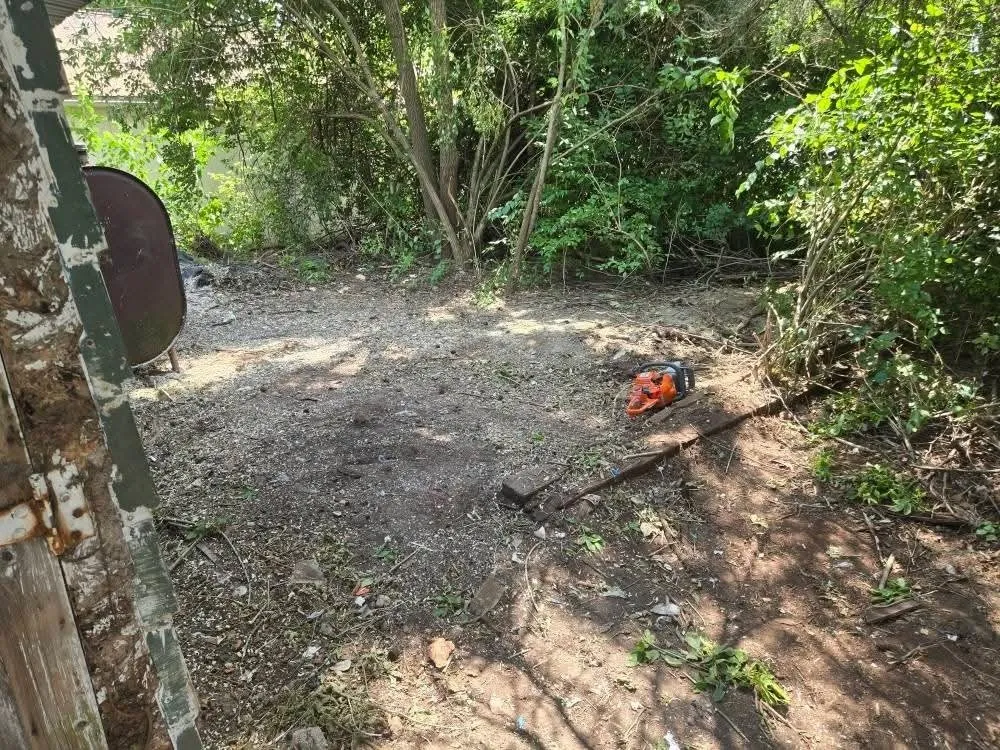 Affordable landscape installation for residential properties in London, OH by Woods Odd Jobs