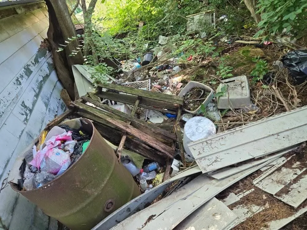 Trusted yard cleanup service in London, OH by Woods Odd Jobs