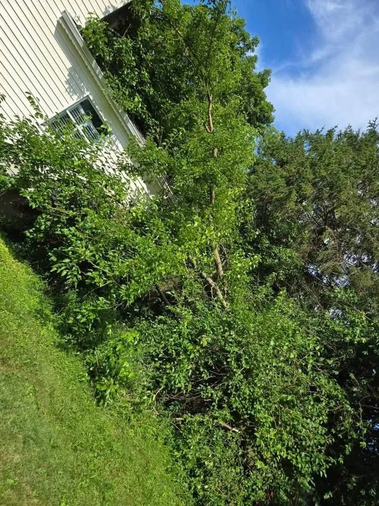 Custom landscape installation in London, OH by Woods Odd Jobs