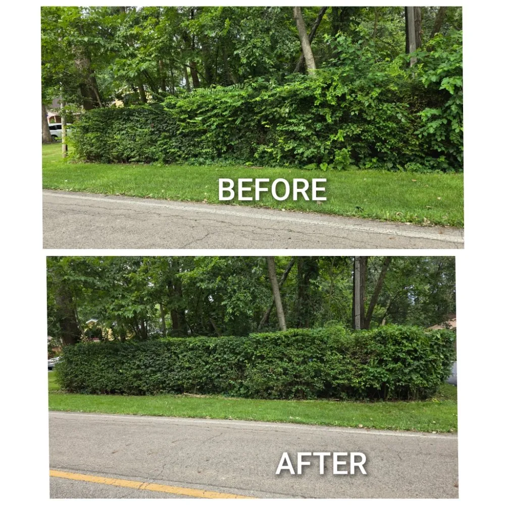 Top-rated outdoor landscaping for homes in London, OH by Woods Odd Jobs