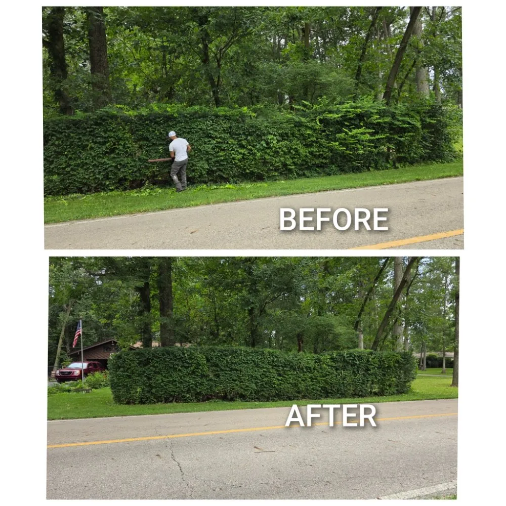 Top-rated garden landscaping in London, OH - Woods Odd Jobs