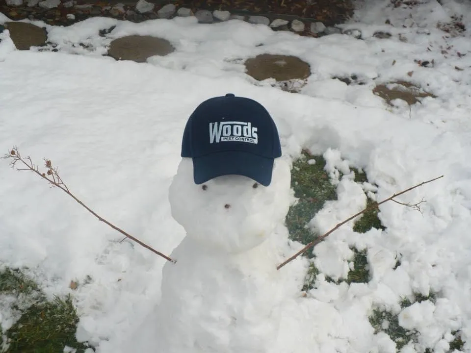 Custom lawn mowing service in Redding, CA - Woods Pest Control